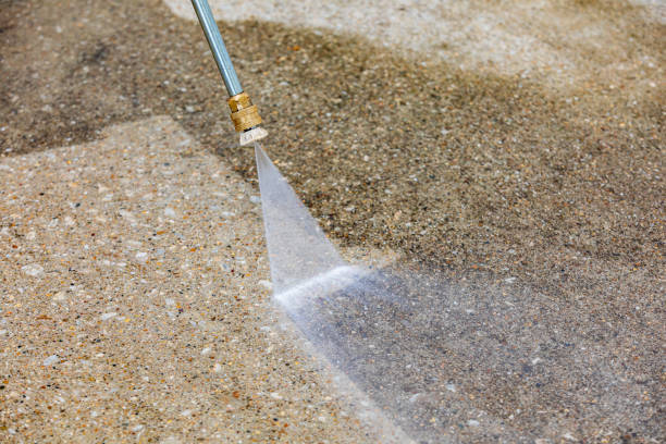 Animal Enclosure Cleaning in Greenville, NC